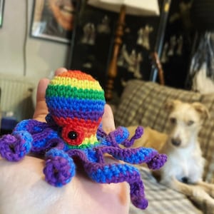 Peut inclure: Une petite pieuvre crochetée à la main avec une tête rayée aux couleurs de l'arc-en-ciel, composée de bandes horizontales rouges, orange, jaunes, vertes, bleues et violettes. Elle possède huit tentacules violets recourbés et un œil noir.