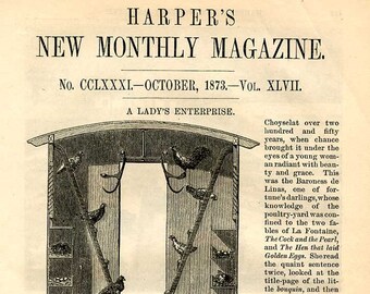 Ladies Raising Poultry, 1873, 16 Detailed Wood Engraving Illustrations, A Lady's Enterprise, 12 Page Historic Article, Amazing!