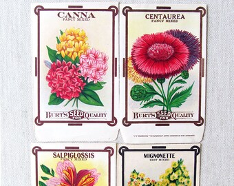 Seed Packets, 4 Vintage Unused, Burt's Seed Quality, 1910s, Canna, Centaurea (Marguerite), Salpiglossis, Mignonette, Instant Collection