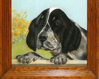 English Springer Spaniel, Superb Dog Pastel, Vintage, OOAK, Vintage Solid Oak Frame, UV Glass, Archival, Ready to Hang, Excellent!