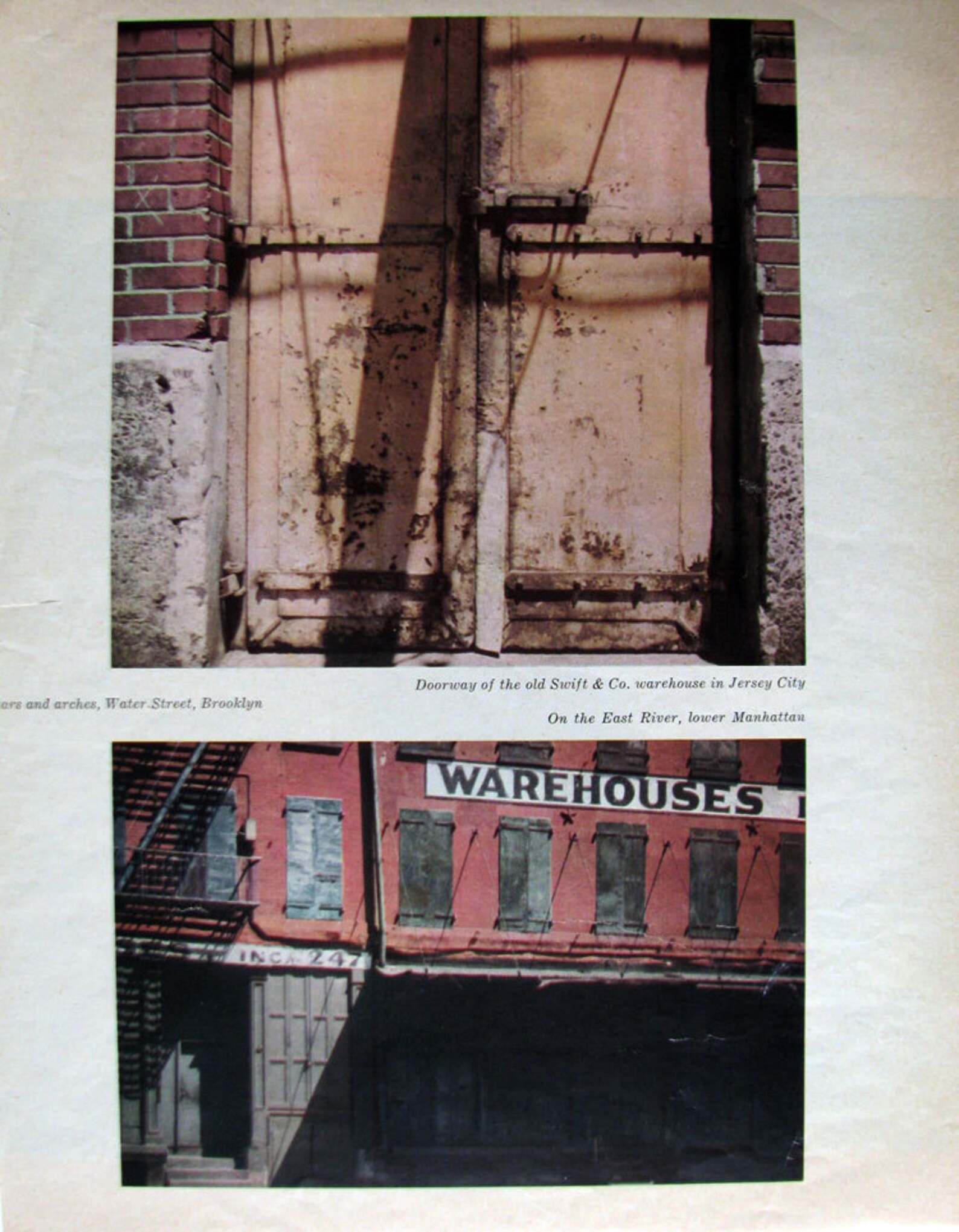 Walker evans biography image