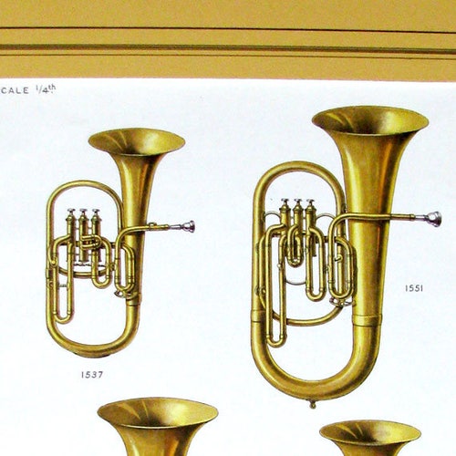 TUBA, Antique Chromolithograph, MUSIC, c.1900, Superb Condition, Salesman's Sample Catalog shops Page, Acid-Free Matting/Mount, Ready to Frame