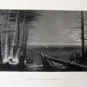 May include: A black and white engraving depicts a forest scene at night. Tall trees frame a small cabin and a fallen log. The text at the bottom reads "A FOREST ON LAKE ONTARIO."