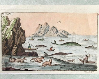 Whales, Whaling, Walruses, Small but Amazing, Hand Colored, Antique Copperplate Engraving, 1810-1821, Wilhelm Whales T.LXI. Printed Vienna