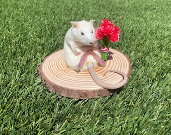 Romeo The  Rat (Taxidermy) Read Description
