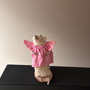 May include: A taxidermy mouse standing upright on a small circular wooden base. The mouse is wearing a pink fabric dress with a white polka dot pattern, featuring short ruffled sleeves and an elasticated neckline that sits around its shoulders.
