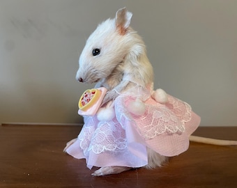 Princess Amelia