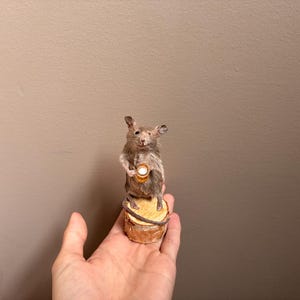 May include: A taxidermy mouse standing on a small, circular wooden log slice. The mouse is brown and grey with white fur on its chest, holding a miniature, cylindrical, amber-coloured mug with a white rim in its front paws.
