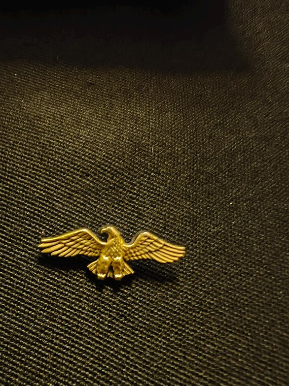 golden & black plastic eagle pin