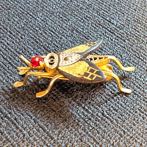 Peut inclure: Broche dorée en forme d'insecte, avec des détails complexes. Elle présente un œil en pierre rouge, des pattes dorées et des ailes aux motifs noirs et dorés. Posée sur une surface texturée gris foncé.