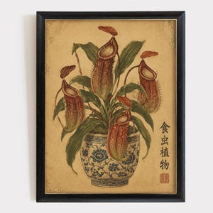Könnte beinhalten: Ein gerahmter botanischer Druck einer Nepenthes-Kannenpflanze mit rotbraunen Kannen und grünen Blättern in einem blau-weiß gemusterten Blumentopf. Der Hintergrund ist strukturiert beige und der Text 食虫植物 ist vertikal auf der rechten Seite aufgedruckt.