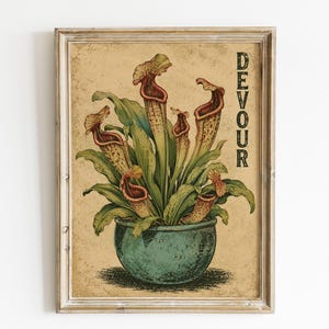 Könnte beinhalten: Ein gerahmter Kunstdruck mit einer botanischen Illustration von Kannenpflanzen in einem blaugrünen Topf vor einem strukturierten beigen Hintergrund. Das Wort DEVOUR ist in dunkelgrünen Großbuchstaben vertikal auf der rechten Seite gedruckt.