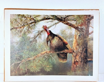 Eileen Melton Wake Up Call Wild Turkey Limited Edition #65/400 Signed Print COA
