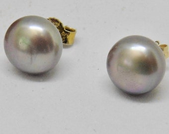 Pearl stud earrings 6 mm gray real freshwater pearls slightly flattened