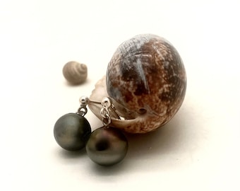 Black Tahitian pearl earrings, round balls 11 mm on silver studs