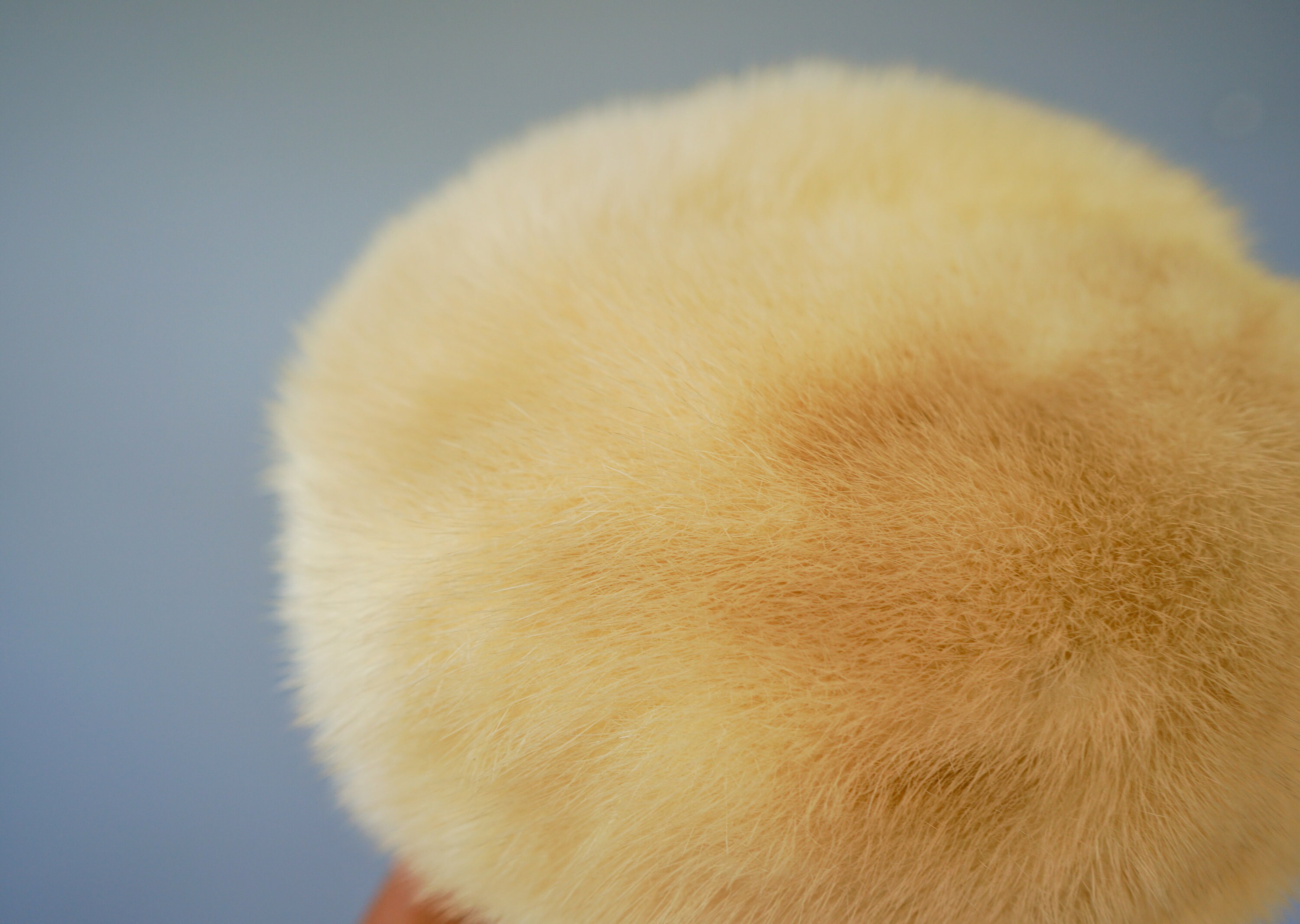 Vintage 1960s Ivory Fuzzy Winter Hat | Hats By Mady Hartford | Mod Pillbox Style Vintage Fur Pillbox Hat: 1950s Women Midcentury Retro Fall  main image 3