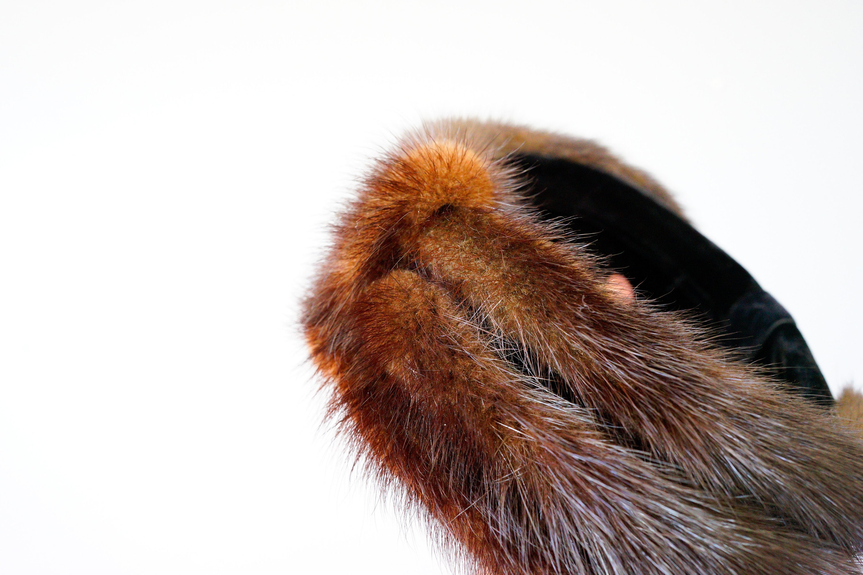 Vintage fur head piece casque half hat headband read description below Vintage Fur Headband Hat With Veil, Whimsy Hat, Vintage Hat  main image 3