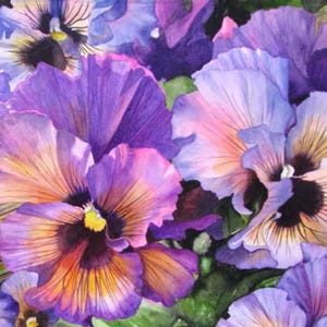 Puede incluir: Una pintura a la acuarela de flores de pensamiento vibrantes en tonos morado intenso, lavanda y naranja suave. Los pétalos muestran intrincadas vetas oscuras que irradian desde el centro, con toques de follaje verde y bordes decorativos estampados.