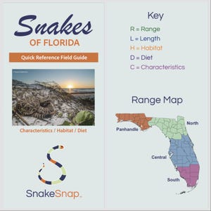 May include: A Snakes of Florida Quick Reference Field Guide featuring a photograph of a snake on a beach at sunset, a colour-coded key for range, length, habitat, diet, and characteristics, and a map of Florida divided into four geographic regions.