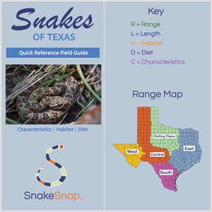 Op de afbeelding: Een Snakes of Texas Quick Reference Field Guide met een opgerolde bruine slang met patroon, een kleurgecodeerde kaart van Texas-regio's en een legenda die R voor Range, L voor Length, H voor Habitat, D voor Diet en C voor Characteristics definieert.