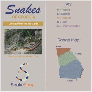 May include: A Snakes of Georgia Quick Reference Field Guide featuring a photograph of a snake, a colour-coded map of Georgia divided into North, Central, and South regions, and a key defining R, L, H, D, and C abbreviations with the SnakeSnap logo.