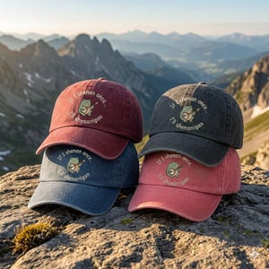 May include: Four baseball caps in maroon, charcoal, blue, and coral, each featuring a graphic of a frog playing a banjo. The text "If I shenan once... I'll shenanigan" is printed in a circular arc around the frog illustration on each cap.