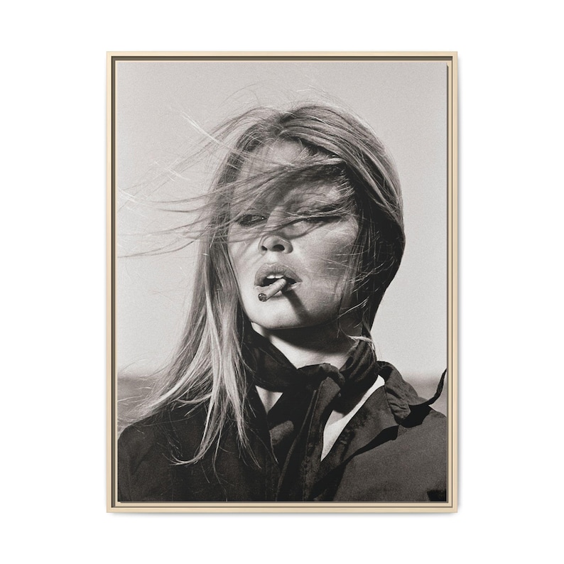 Brigitte Bardot Vintage Portrait Matte Canvas Framed image 1