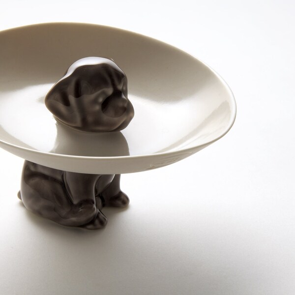 The dog bowl, porcelain bowl held up by a cute dog