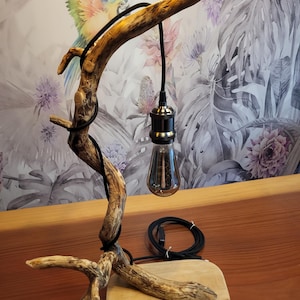 Piccola lampada d'accento, in legno "Radice Celeste" proveniente dalla foresta dell'Alvernia – Lampada unica – Decorazione rustica – Lampadina Edison inclusa