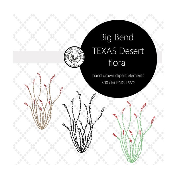 Ocotillo Cactus Desert Flora Plant Succulent Clipart element Digital File /300 DPI PNG / SVG / Big Bend National Park / Botanical