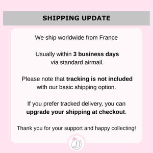 以下が含まれることがあります： 「SHIPPING UPDATE」の文字が入ったピンクと白のグラフィック。 下のテキストには、販売者がフランスから世界中に発送し、通常3営業日以内に標準航空便で発送することが記載されています。