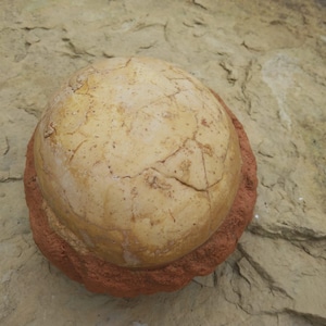 Single Segnosaurus Egg in Matrix - Fossil Dinosaur T-Rex