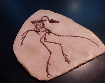 May include: A fossilized skeleton of a small dinosaur, possibly a bird, on a light brown rock. The skeleton is brown and is in a running pose.