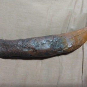 T-rex Tooth With Root Structure Fossil Dinosaur Tyrannosaurid - Etsy