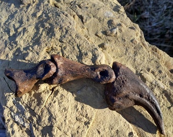 il_340x270.5803247740_8n2r.jpg