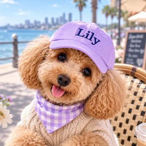 Custom Dog Hat with Name Embroidery,Dog Baseball Cap with Ear Holes,Adjustable Sun Hat for Small Medium Large Dogs,Pet Gift,Breathable Hat