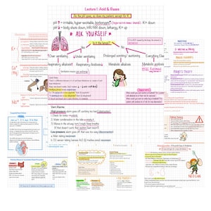 Könnte beinhalten: Ein medizinischer Lernzettel auf kariertem Papier mit dem Titel Lecture I: Acid & Bases, der Flussdiagramme, Lungen- und Herzdiagramme sowie handschriftliche Notizen zu Säure-Basen-Haushalt, Beatmungsalarmen und klinischen Konzepten enthält.