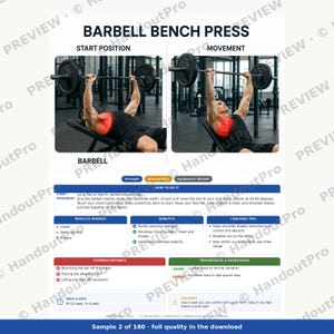 Op de afbeelding: Een instructieposter getiteld BARBELL BENCH PRESS met twee foto's van een persoon die de oefening uitvoert. De lay-out bevat secties voor instructies, getrainde spieren, voordelen, coachingtips, veelgemaakte fouten en progressie.