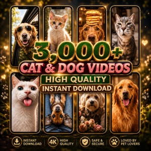 100,000+ Viral Reels Bundle | Faceless Content | AI Animated Videos | TikTok Instagram YouTube Shorts Pack PLR MRR image 9