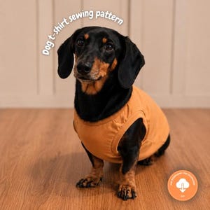 Może przedstawiać: Czarno-podpalany jamnik w jednolitym pomarańczowym bezrękawniku dla psa. Na górze widoczny jest napis "Dog t-shirt sewing pattern", a na dole znajduje się pomarańczowa okrągła ikona z białym symbolem pobierania i napisem "PDF DOWNLOAD".