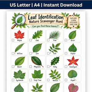 May include: A printable Leaf Identification Nature Scavenger Hunt sheet featuring a title banner, a magnifying glass icon, and a wooden sign reading EXPLORE LEARN DISCOVER HAVE FUN. It displays a grid of various leaves with checkboxes and labels including Maple, Oak, Pine, Birch, Willow, Elm, Ash, Poplar, Beech, Magnolia, Holly, Sweetgum, Sycamore, Tulip Tree, Walnut, and Aspen.
