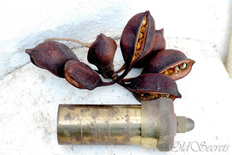 Small Brass Pepper Mill Original Retro Greek Spice Mill Salt Etsy Israel