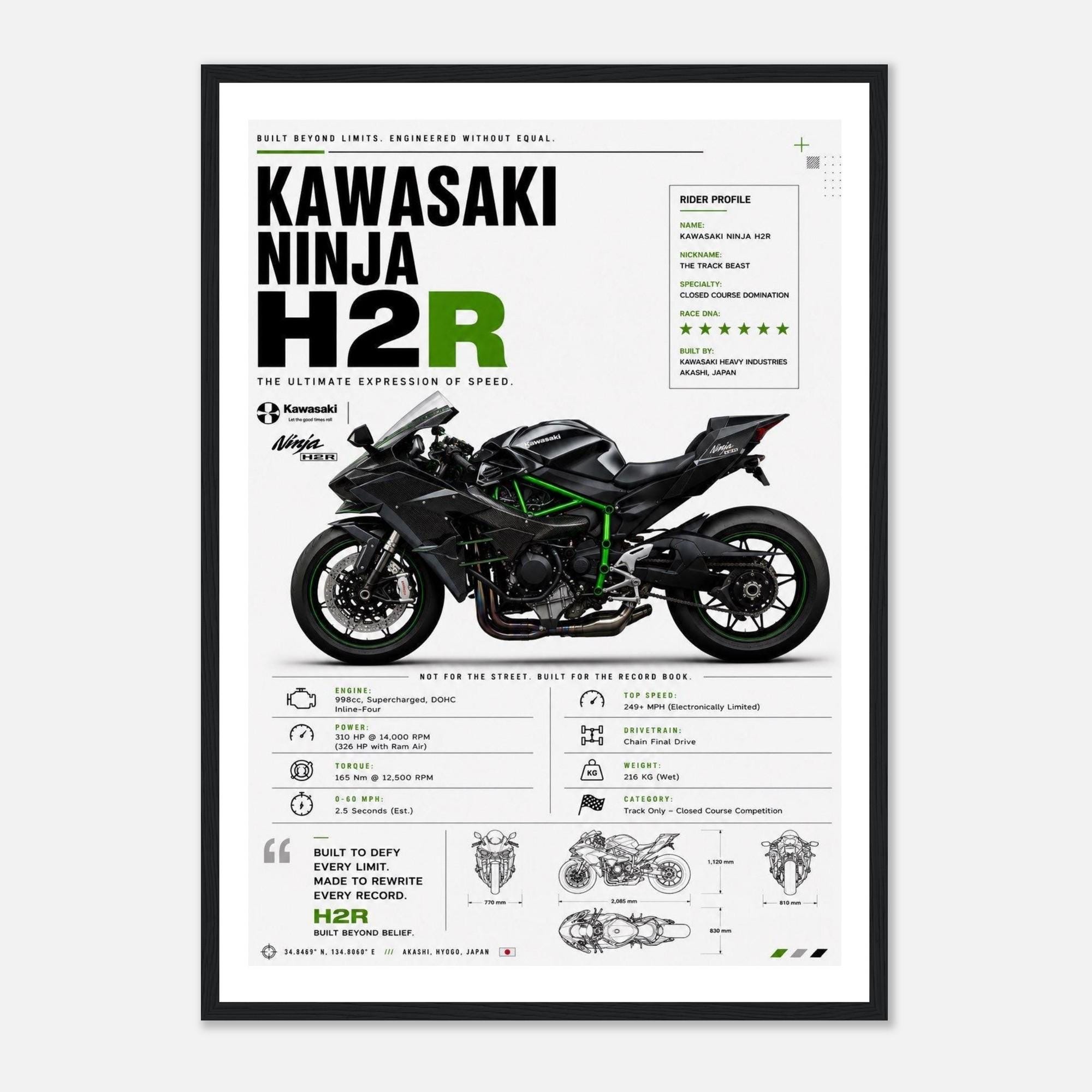 Kawasaki zzr - Etsy 日本