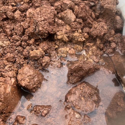 westforkpottery - Etsy