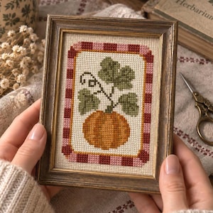 May include: A framed cross-stitch embroidery featuring an orange pumpkin with green leaves and a vine, centred on a cream-coloured fabric. The design is bordered by a red and pink checkered pattern, all encased in a dark brown wooden frame.