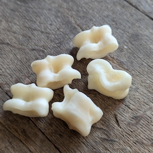 Op de afbeelding: Vijf kleine, gebroken witte, onregelmatig gevormde botachtige objecten met gladde, afgeronde oppervlakken en centrale inkepingen. Deze stukken hebben een dicht, organisch uiterlijk met subtiele variaties in hun gebogen, veelzijdige vormen.