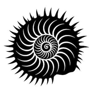 Seashell Svg, Seashell Clipart, Black Seashell Vector File, Cut Files for Silhouette, Commercial Use, Digital Download