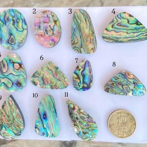 Könnte beinhalten: Elf polierte Abalone-Muschel-Cabochons in verschiedenen Formen und Größen, nummeriert von 1 bis 11, mit irisierenden Wirbeln in Blau, Grün und Rosa. Eine runde indische Münze liegt neben den Steinen auf einer weißen Fläche als Größenvergleich.