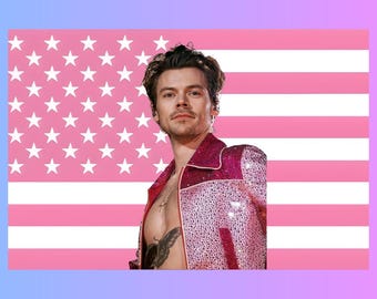 Harry Styles Pink Flag Tapestry | Pop Star Fan Decor | Music Wall Art | Aesthetic Dorm Room Decor | Celebrity Fan Decor