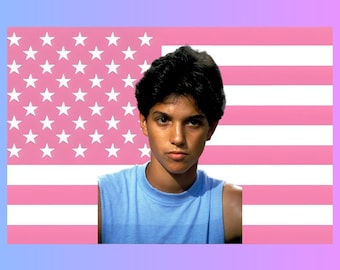 Young Ralph Macchio Pink US Wall Tapestry Flag, Retro Actor Room Decor, Aesthetic Bedroom Wall Art Banner